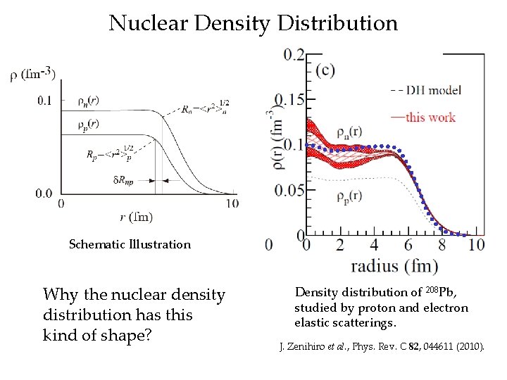 Nuclear Density Distribution Schematic Illustration Why the nuclear density distribution has this kind of