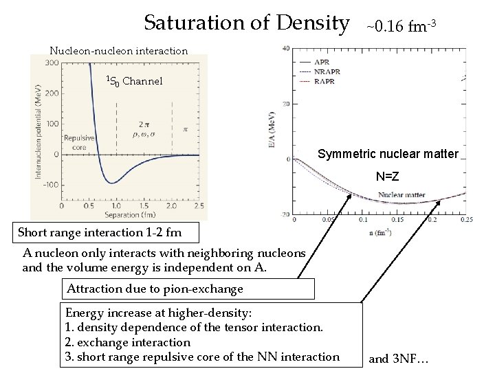Saturation of Density ~0. 16 fm-3 Nucleon-nucleon interaction 1 S 0 Channel Symmetric nuclear