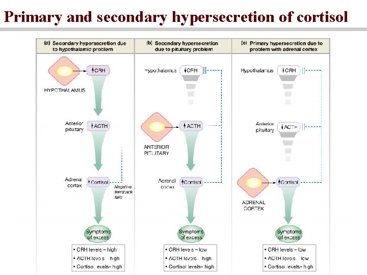 Primary and secondary hypersecretion of cortisol Primary and secondary hypersecretion of cortisol