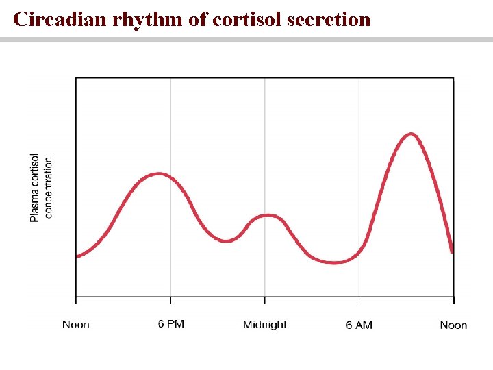 Circadian rhythm of cortisol secretion Circadian rhythm of cortisol secretion
