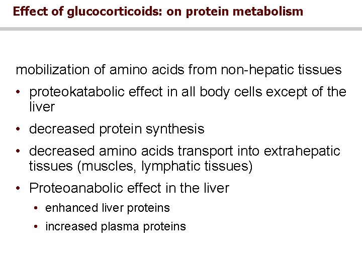 Effect of glucocorticoids: on protein metabolism mobilization of amino acids from non-hepatic tissues • Effect of glucocorticoids: on protein metabolism mobilization of amino acids from non-hepatic tissues •