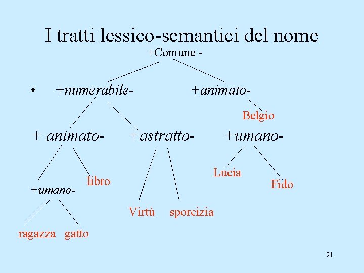 I tratti lessico-semantici del nome +Comune - • +numerabile- +animato. Belgio + animato+umano- +astratto-