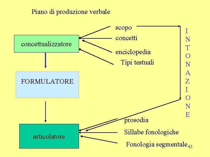 Piano di produzione verbale concettualizzatore scopo concetti enciclopedia Tipi testuali FORMULATORE prosodia articolatore I