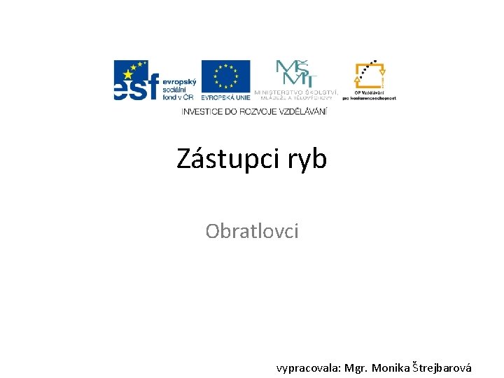 Zástupci ryb Obratlovci vypracovala: Mgr. Monika Štrejbarová 