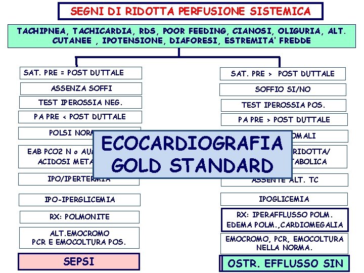 SEGNI DI RIDOTTA PERFUSIONE SISTEMICA TACHIPNEA, TACHICARDIA, RDS, POOR FEEDING, CIANOSI, OLIGURIA, ALT. CUTANEE