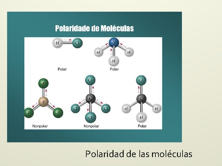 Polaridad de las moléculas Polaridad de las moléculas