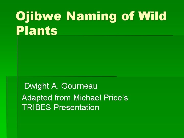 Ojibwe Naming of Wild Plants Dwight A. Gourneau Adapted from Michael Price’s TRIBES Presentation