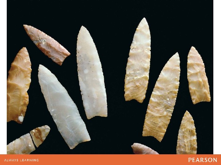 Clovis points 