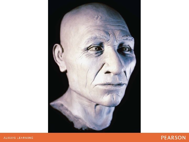 Bust from the skull of “Kennewick Man” 