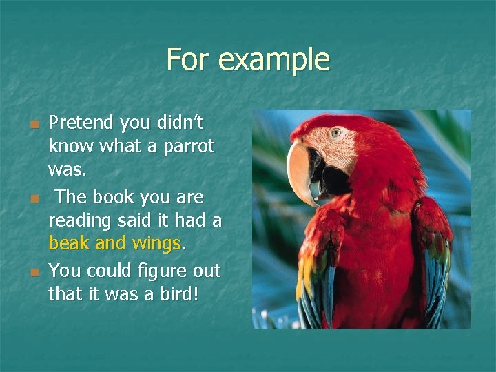 For example n n n Pretend you didn’t know what a parrot was. The