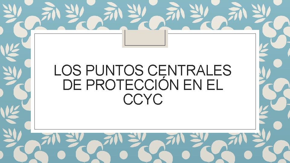 LOS PUNTOS CENTRALES DE PROTECCIÓN EN EL CCYC 