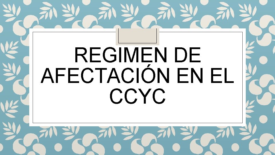 REGIMEN DE AFECTACIÓN EN EL CCYC 