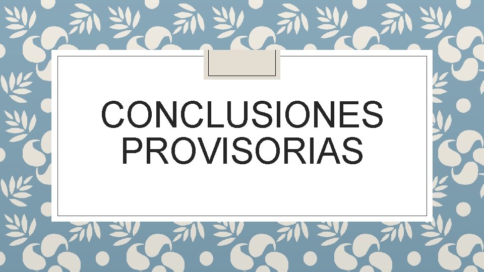 CONCLUSIONES PROVISORIAS 