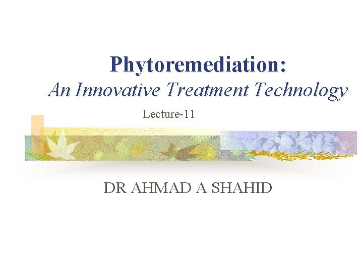 Phytoremediation: An Innovative Treatment Technology Lecture-11 DR AHMAD A SHAHID 