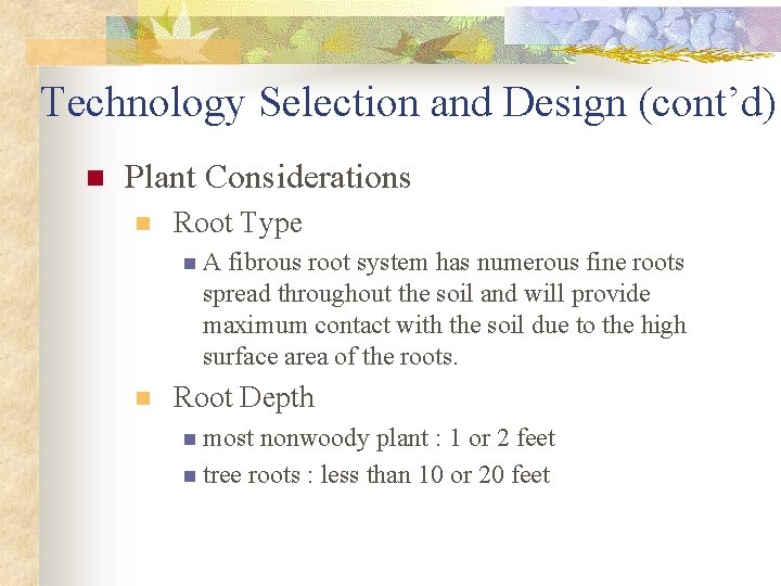 Technology Selection and Design (cont’d) n Plant Considerations n Root Type n A fibrous