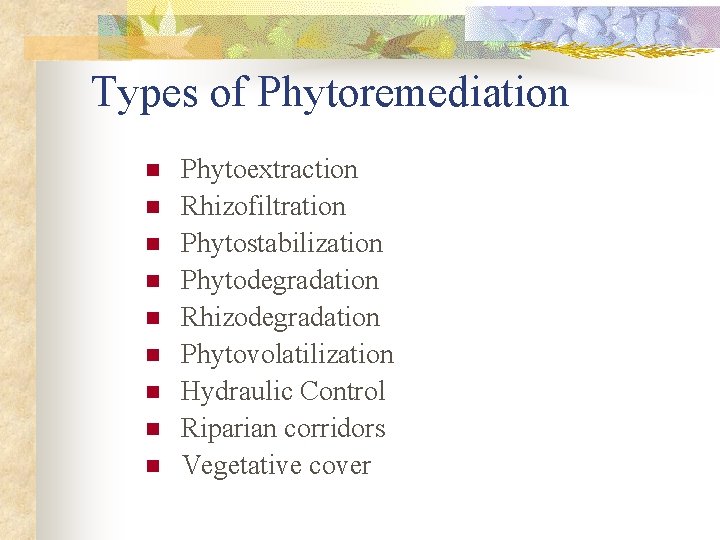 Types of Phytoremediation n n n n Phytoextraction Rhizofiltration Phytostabilization Phytodegradation Rhizodegradation Phytovolatilization Hydraulic