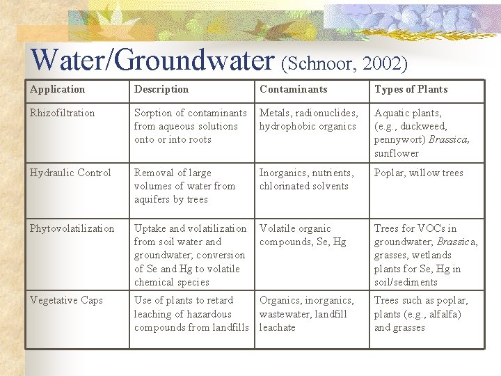 Water/Groundwater (Schnoor, 2002) Application Description Contaminants Rhizofiltration Sorption of contaminants Metals, radionuclides, from aqueous