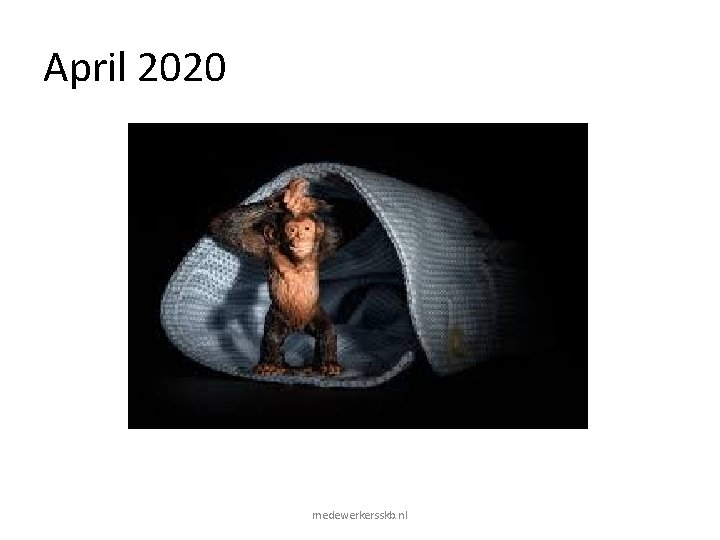 April 2020 medewerkersskb. nl April 2020 medewerkersskb. nl