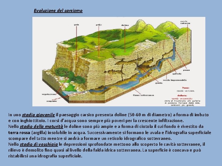 Evoluzione del carsismo In uno stadio giovanile il paesaggio carsico presenta doline (50 -60