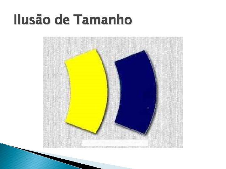 Ilusão de Tamanho 