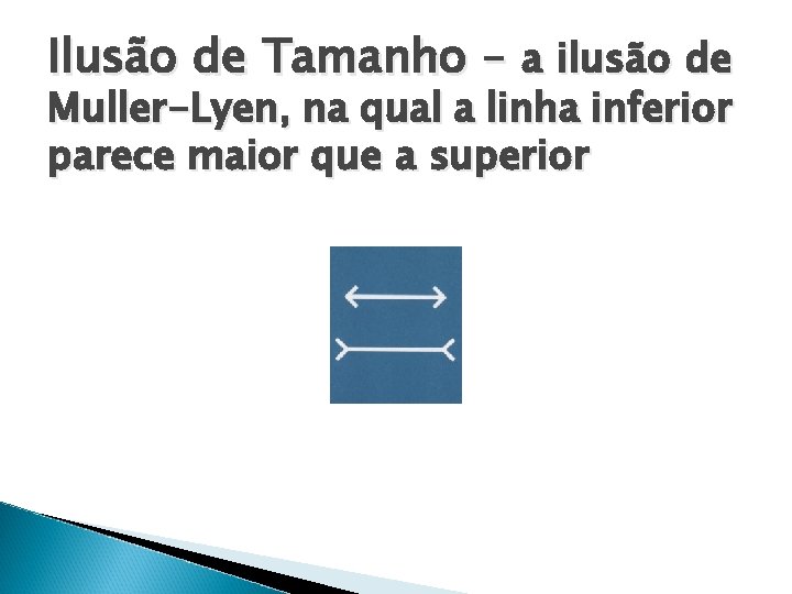 Ilusão de Tamanho – a ilusão de Muller-Lyen, na qual a linha inferior parece