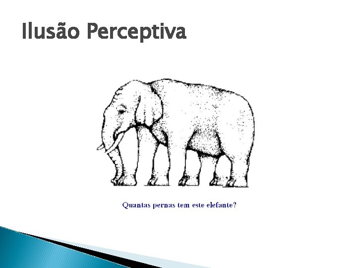 Ilusão Perceptiva 