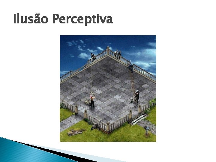 Ilusão Perceptiva 