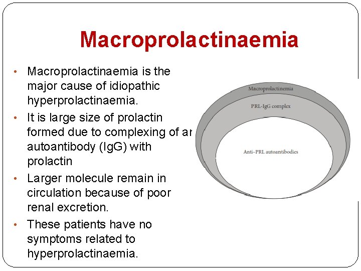 Macroprolactinaemia • Macroprolactinaemia is the major cause of idiopathic hyperprolactinaemia. • It is large