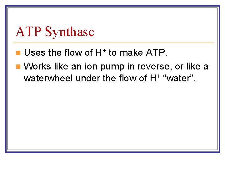 ATP Synthase Uses the flow of H+ to make ATP. n Works like an