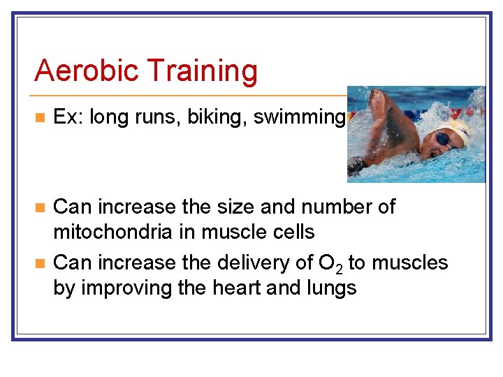 Aerobic Training n Ex: long runs, biking, swimming n Can increase the size and