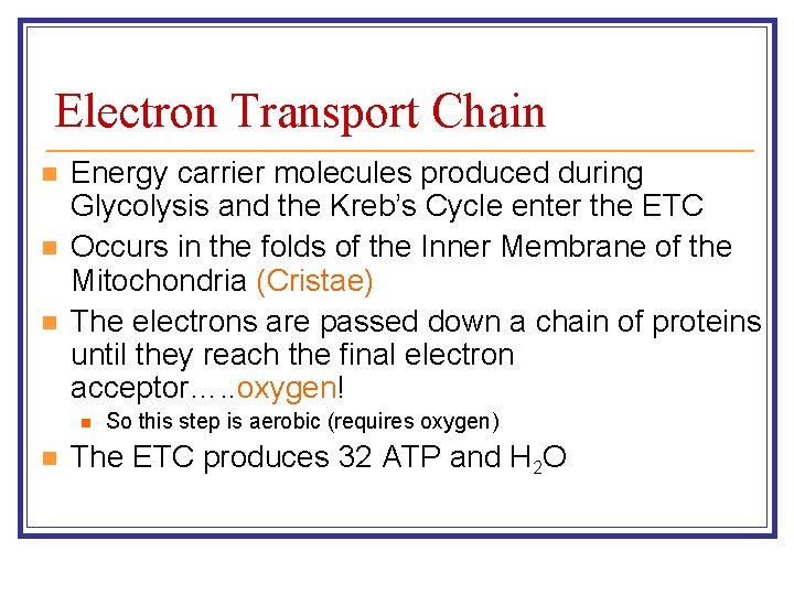 Electron Transport Chain n Energy carrier molecules produced during Glycolysis and the Kreb’s Cycle