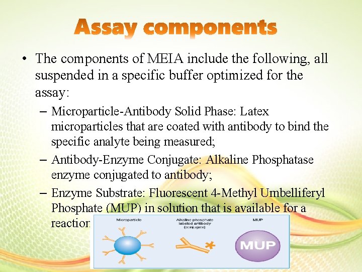  • The components of MEIA include the following, all suspended in a specific