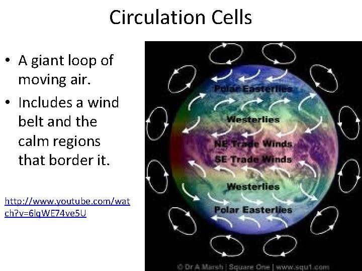 Circulation Cells • A giant loop of moving air. • Includes a wind belt