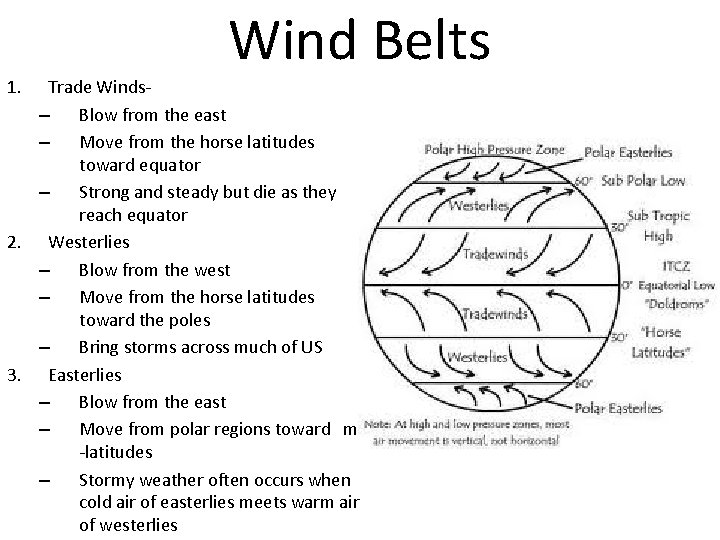 1. Wind Belts Trade Winds– Blow from the east – Move from the horse