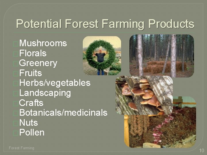 Potential Forest Farming Products �Mushrooms �Florals �Greenery �Fruits �Herbs/vegetables �Landscaping �Crafts �Botanicals/medicinals �Nuts �Pollen