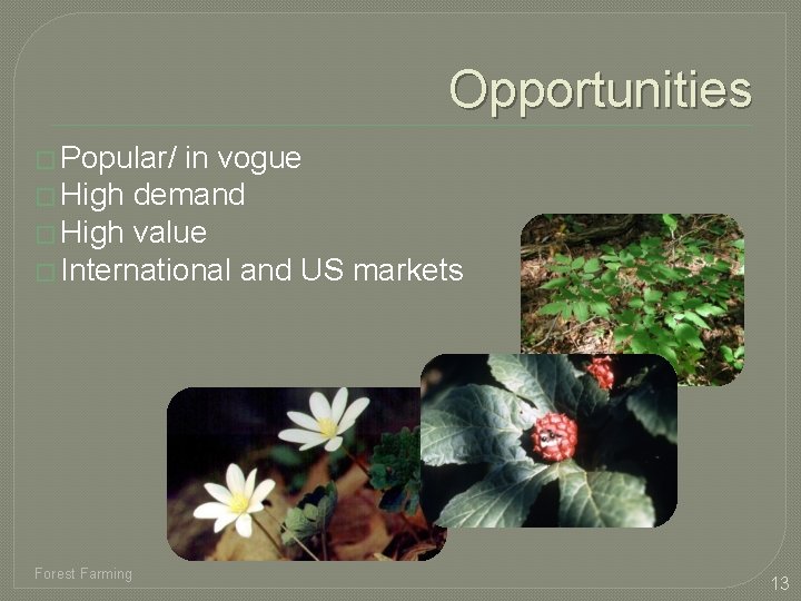 Opportunities � Popular/ in vogue � High demand � High value � International and