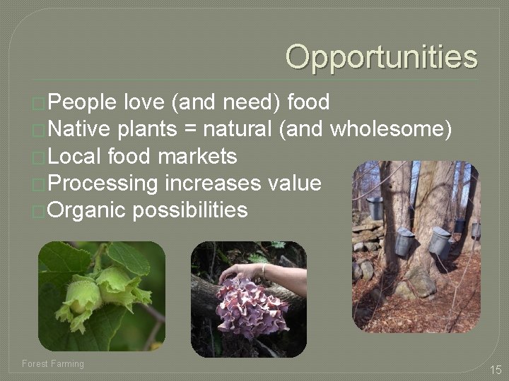 Opportunities �People love (and need) food �Native plants = natural (and wholesome) �Local food