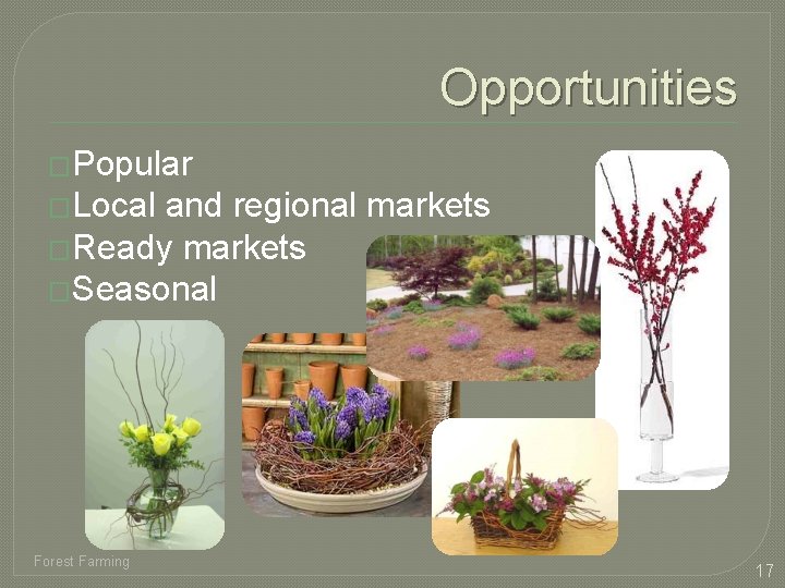 Opportunities �Popular �Local and regional markets �Ready markets �Seasonal Forest Farming 17 