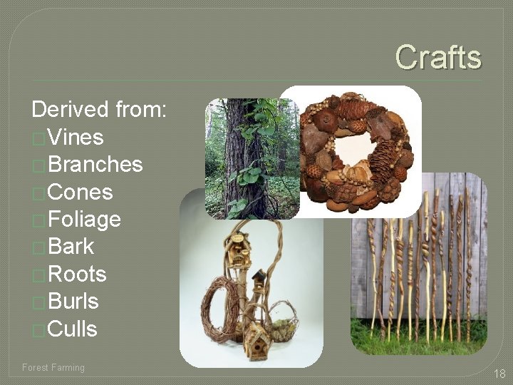 Crafts Derived from: �Vines �Branches �Cones �Foliage �Bark �Roots �Burls �Culls Forest Farming 18