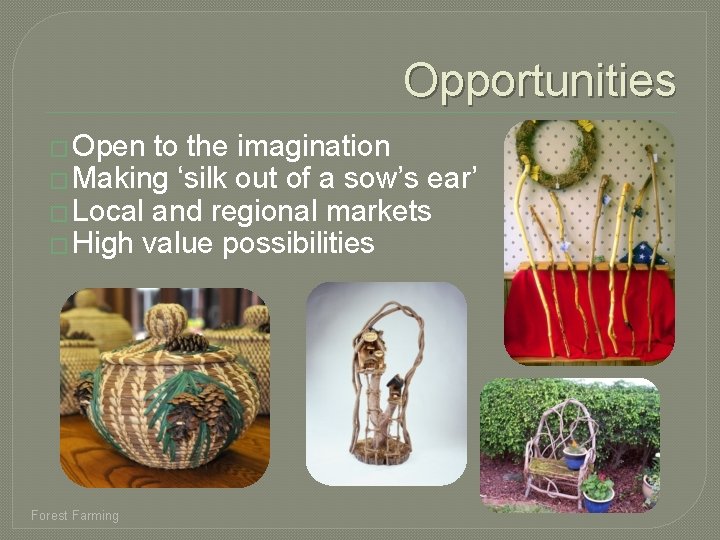 Opportunities � Open to the imagination � Making ‘silk out of a sow’s ear’