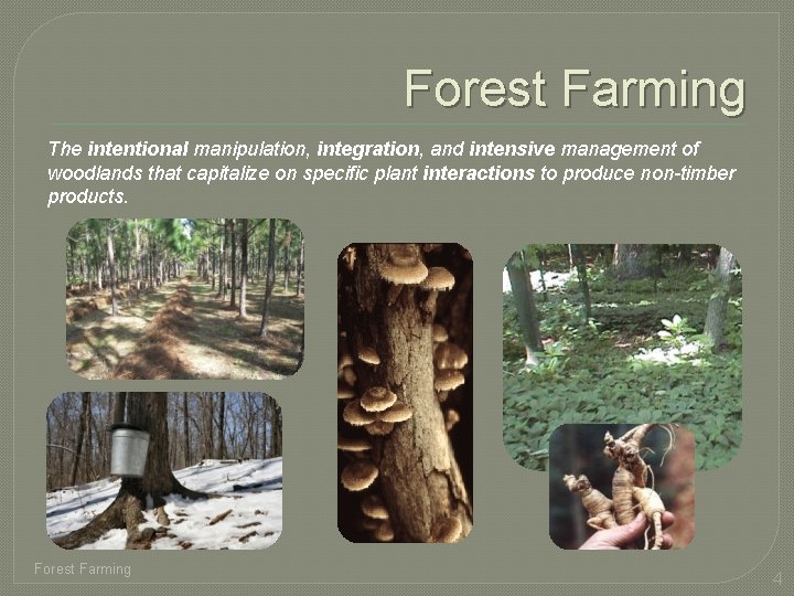 Forest Farming The intentional manipulation, integration, and intensive management of woodlands that capitalize on