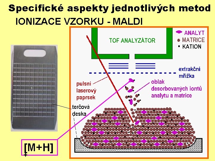 Specifické aspekty jednotlivých metod IONIZACE VZORKU - MALDI [M+H] + 