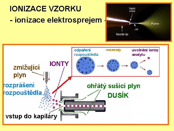 IONIZACE VZORKU - ionizace elektrosprejem - ESI DUSÍK 