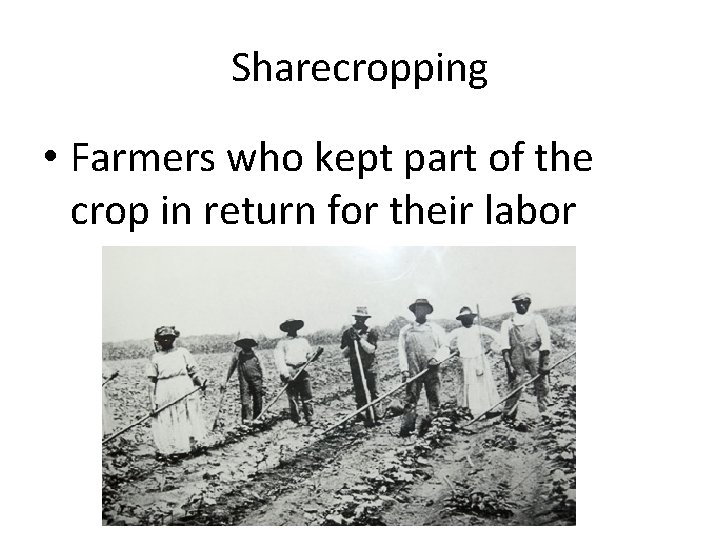 Sharecropping • Farmers who kept part of the crop in return for their labor