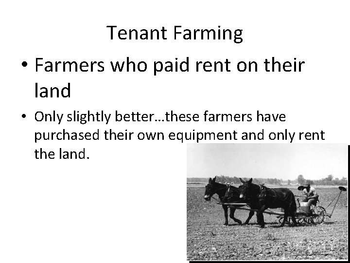 Tenant Farming • Farmers who paid rent on their land • Only slightly better…these