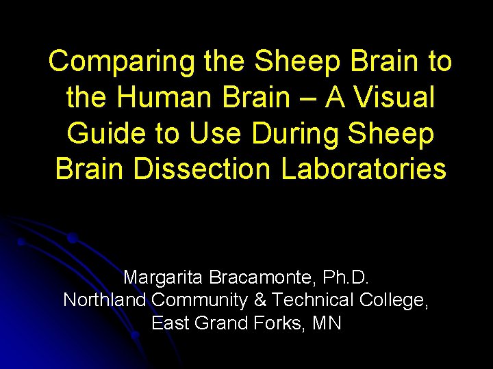 Comparing the Sheep Brain to the Human Brain – A Visual Guide to Use