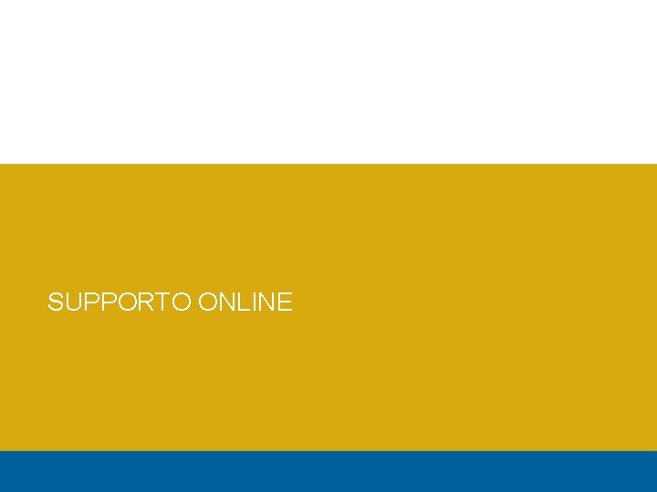 SUPPORTO ONLINE 