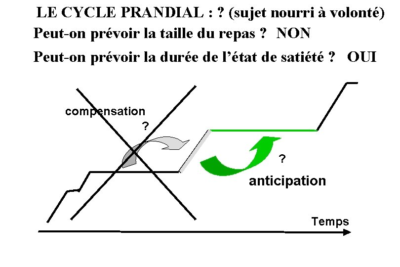 LE CYCLE PRANDIAL : ? (sujet nourri à volonté) Peut-on prévoir la taille du