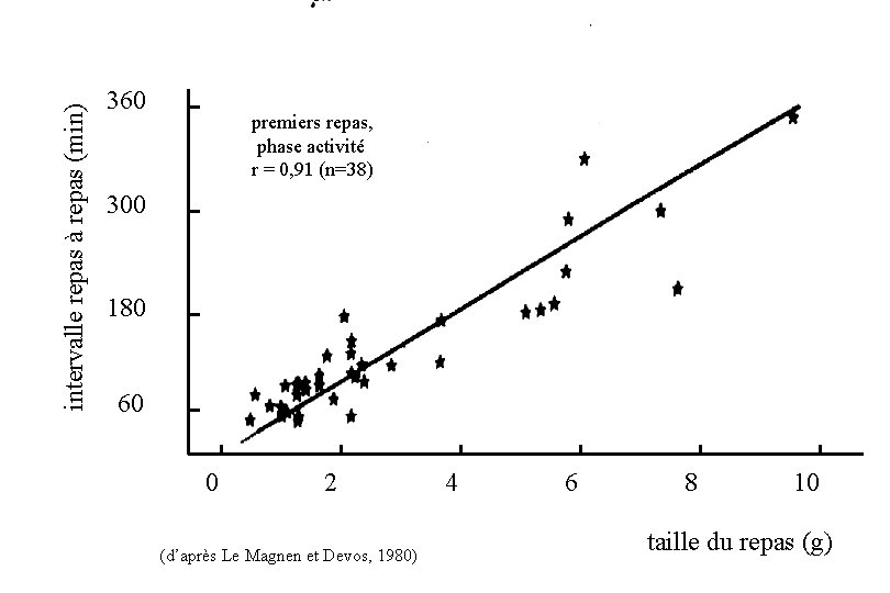 intervalle repas à repas (min) 360 premiers repas, phase activité r = 0, 91