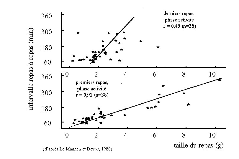 derniers repas, phase activité r = 0, 48 (n=38) intervalle repas à repas (min)